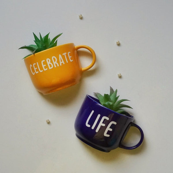 Celebrate Life - Cup Planter set - Mug Planters - Wall Garden Decor - Garden Decor - Succulent Planter - Small Pot - Home Office Accessories - Study Room Decor - Personalised Gifts - Buy Online India - Free Shipping